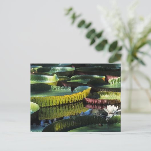 Briefkaart voor reisophaaldiensten 7 (Staand voorkant)