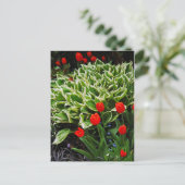 Briefkaart voor rode tulpen en plant (Staand voorkant)