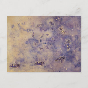 Briefkaart voor ruimtebijen