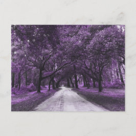 briefkaart voor santeringweg