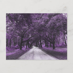 briefkaart voor santeringweg