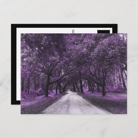 briefkaart voor santeringweg (Voorkant / Achterkant)