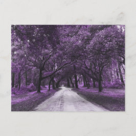 briefkaart voor santeringweg