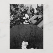 Briefkaart voor schrijfmachines (Voorkant)