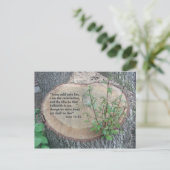 Briefkaart voor scripts (Staand voorkant)