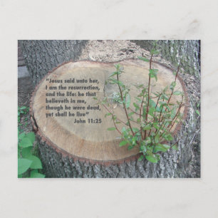 Briefkaart voor scripts