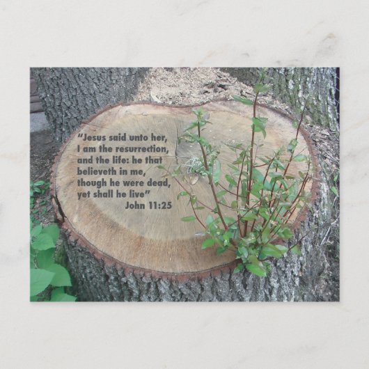 Briefkaart voor scripts (Voorkant)