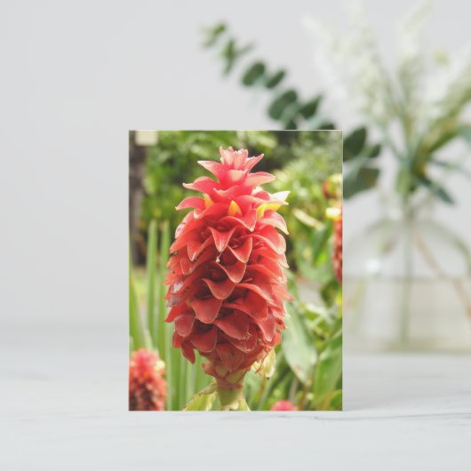 Briefkaart voor siergember (Staand voorkant)