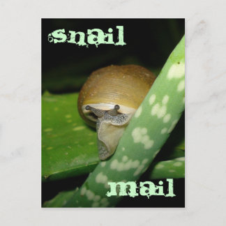 Briefkaart voor slakkenpost