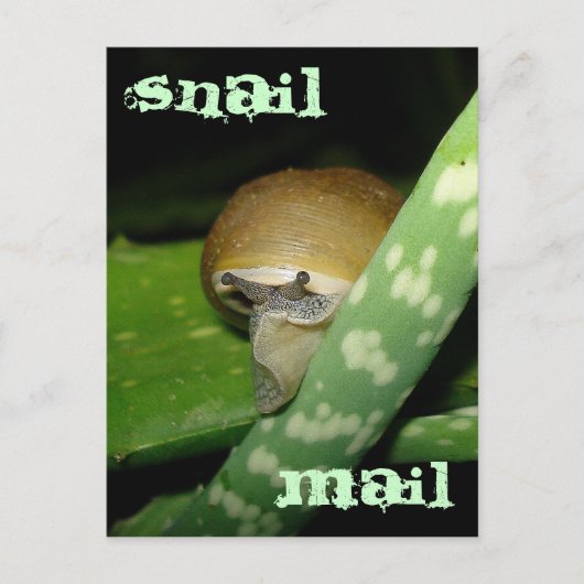 Briefkaart voor slakkenpost (Voorkant)
