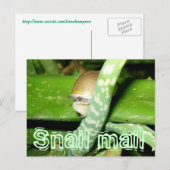 Briefkaart voor slakkenpost (Voorkant / Achterkant)