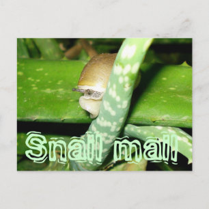Briefkaart voor slakkenpost