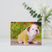 Briefkaart voor snuffelpuppy (Staand voorkant)