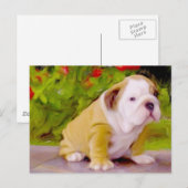 Briefkaart voor snuffelpuppy (Voorkant / Achterkant)