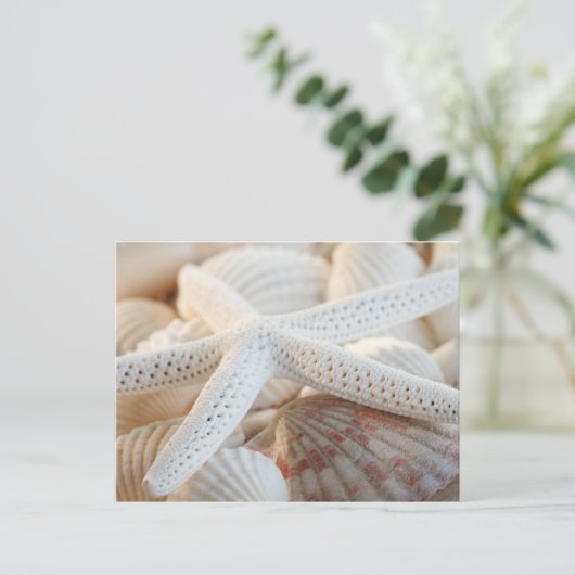 BRIEFKAART VOOR STARVIS EN SEASHELLEN (Staand voorkant)