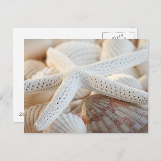 BRIEFKAART VOOR STARVIS EN SEASHELLEN (Voorkant / Achterkant)