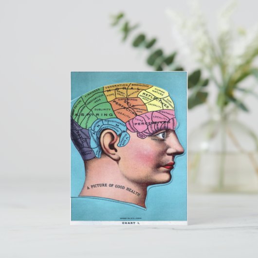 Briefkaart voor terminologie (Staand voorkant)