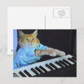 Briefkaart voor toetsenbordkat! (Voorkant / Achterkant)
