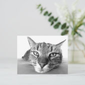 Briefkaart voor uitkoeling (Staand voorkant)