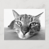 Briefkaart voor uitkoeling (Voorkant)