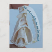Briefkaart voor vakantie van Seashell (Voorkant)