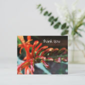 Briefkaart voor ventilatorschoeisel (Staand voorkant)