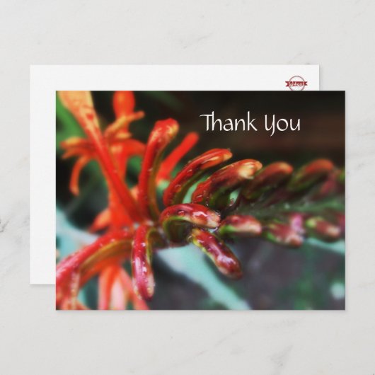 Briefkaart voor ventilatorschoeisel (Voorkant / Achterkant)