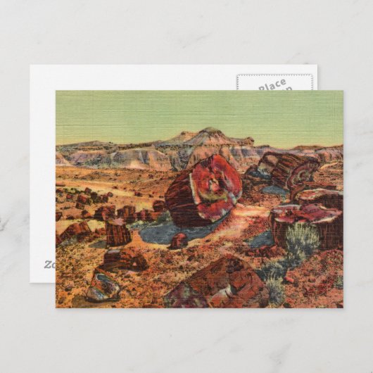  Briefkaart voor versteend bos (Voorkant / Achterkant)