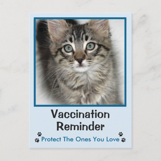 Briefkaart voor veterinair vaccinatie Blue-Eyed Ki (Voorkant)