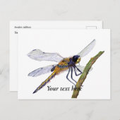 Briefkaart voor vierkantsdragonfly-Waterverf (Voorkant / Achterkant)