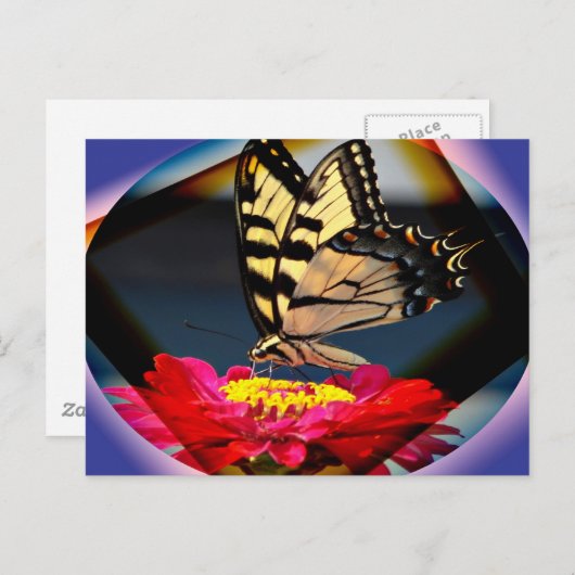 Briefkaart voor vlinderkunst (Voorkant / Achterkant)