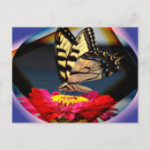 Briefkaart voor vlinderkunst (Voorkant)