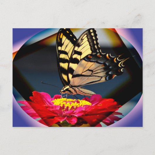 Briefkaart voor vlinderkunst (Voorkant)