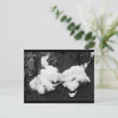 briefkaart voor vloeiende vakantie (Staand voorkant)