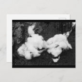 briefkaart voor vloeiende vakantie (Voorkant / Achterkant)