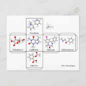 Briefkaart voor vouwen (Voorkant)