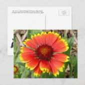 Briefkaart voor vulventilator (Voorkant / Achterkant)