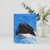 Briefkaart voor walvisgeluiden (Staand voorkant)