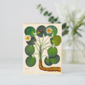  Briefkaart voor waterverplaatsing in de botanisch (Staand voorkant)