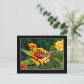 Briefkaart voor wilde bloemen en vlinderbloemigen (Staand voorkant)