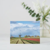 Briefkaart voor windmolen en tulpen (Staand voorkant)
