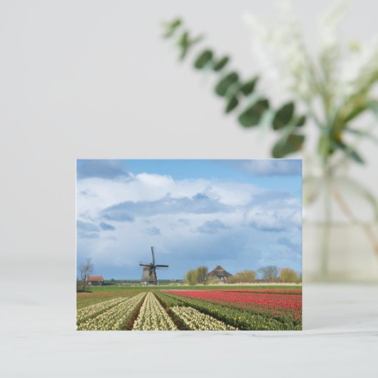 Briefkaart voor windmolen en tulpen (Staand voorkant)