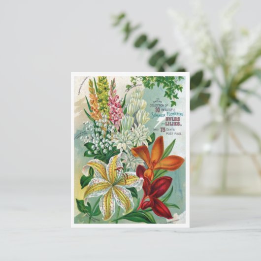  Briefkaart voor zaaigoed (Staand voorkant)