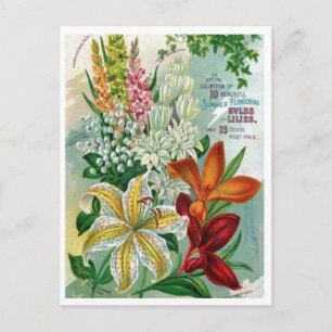  Briefkaart voor zaaigoed