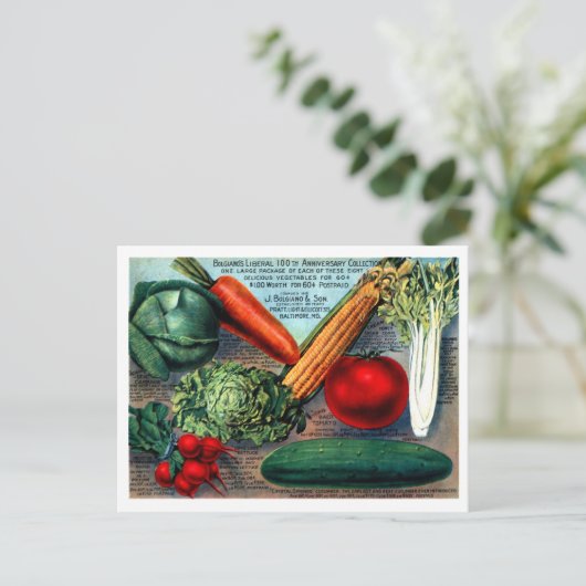  Briefkaart voor zaaigoed (Staand voorkant)