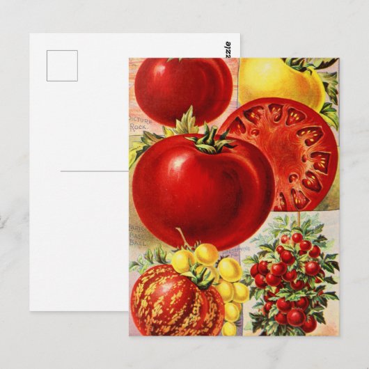  Briefkaart voor zaaigoed (Voorkant / Achterkant)