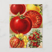  Briefkaart voor zaaigoed (Voorkant)