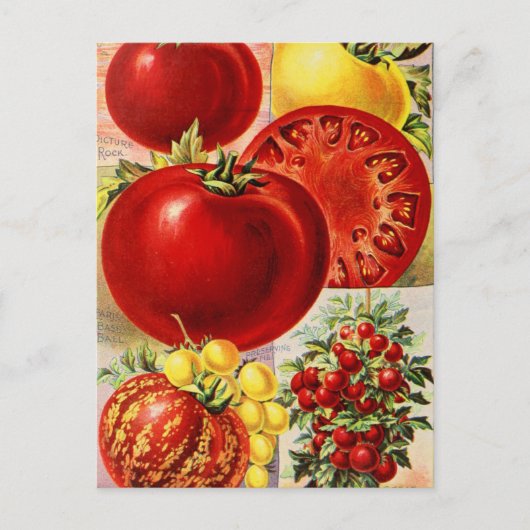 Briefkaart voor zaaigoed (Voorkant)