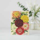  Briefkaart voor zaaigoed (Staand voorkant)