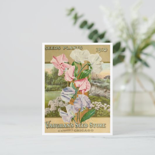  Briefkaart voor zaaigoed (Staand voorkant)